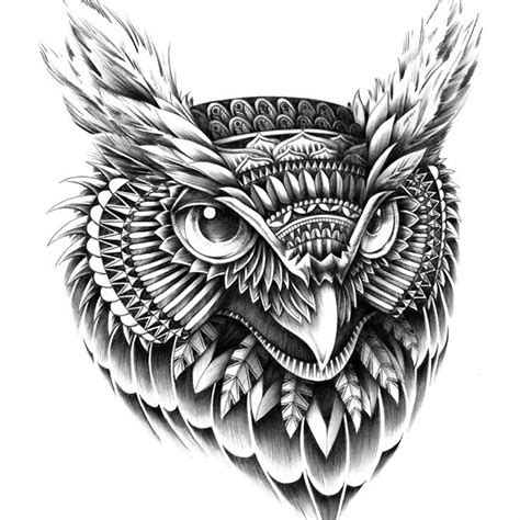 design owl